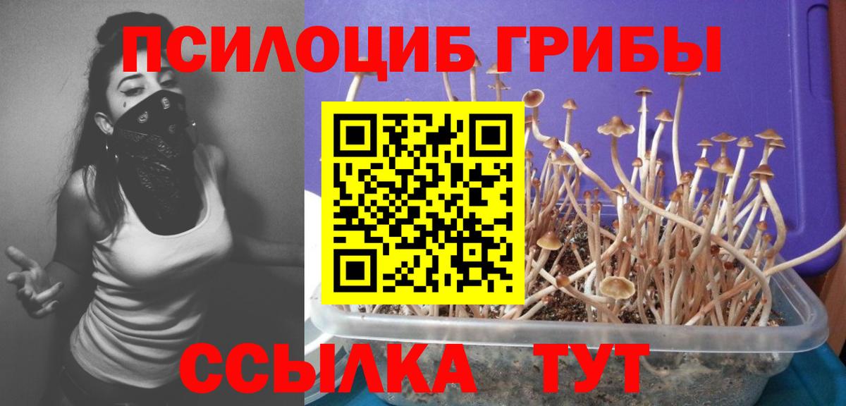 Галлюциногенные грибы ЛСД  Вход с VPN  Псилоцибиновые грибы Magic Shrooms  Армавир 